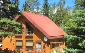 The Gingerbread Cabin